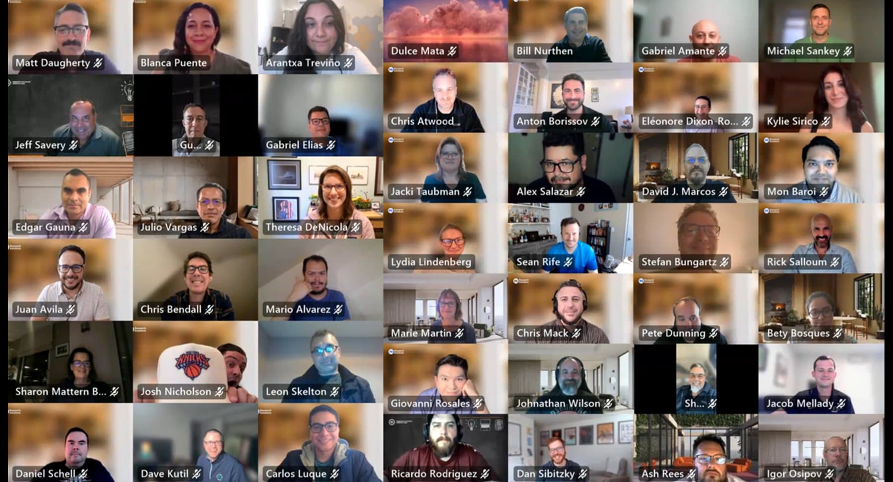 A company all-hands video call with the global Research Solutions team